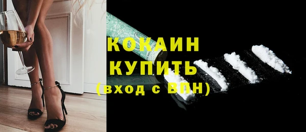 мет Алексин