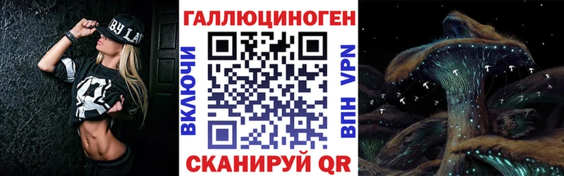 Псилоцибиновые грибы Psilocybe  где найти   Жуков 