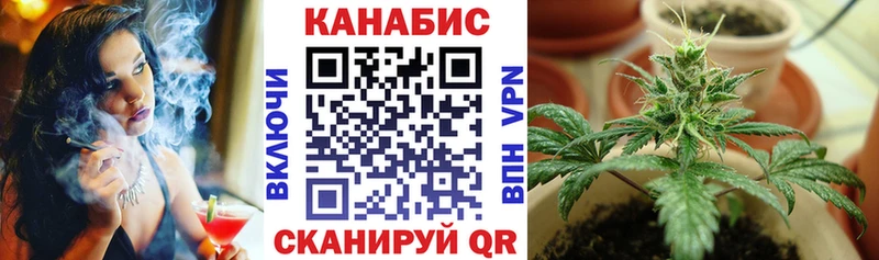 Канабис сатива Жуков